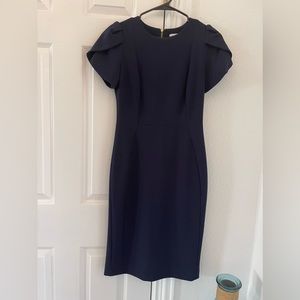 Calvin Klein Women’s Tulip sleeved Sheat dress, size 2